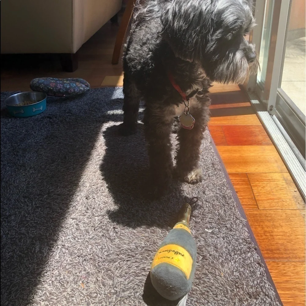 𝅺champagne Bottle Squeezie Toy for Dogs